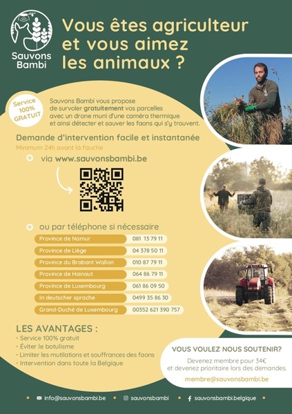 20260428 Sauvons bambi